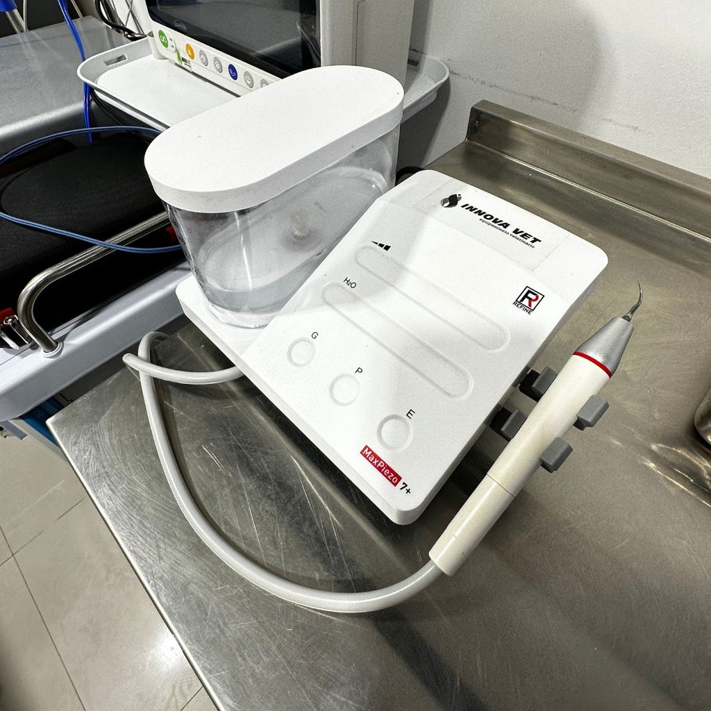 ULTRASONIDO DENTAL Innovavet Chile ultrasonido-dental-innovavet-chile