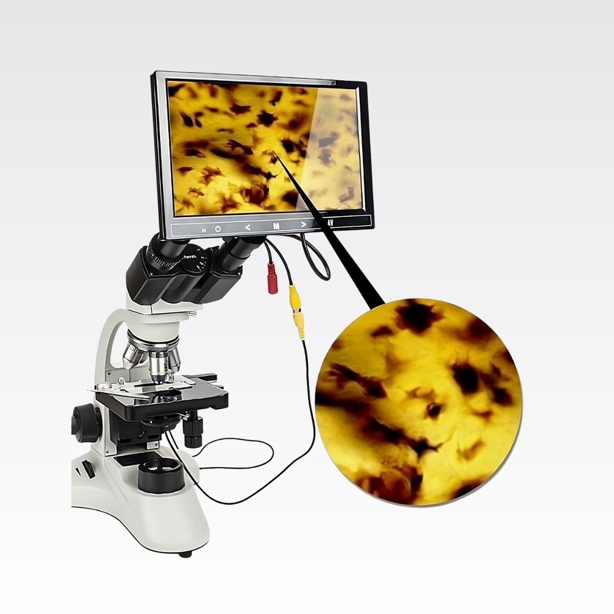 microscopio-binocular-con-pantalla-lcd